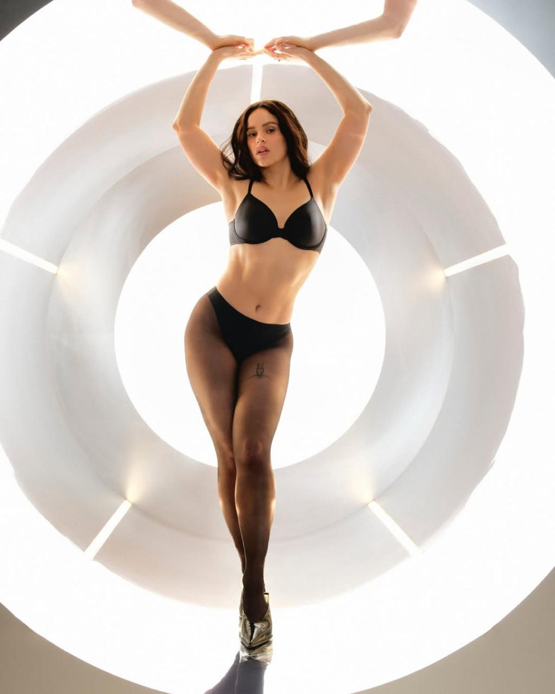 Rosalia 3