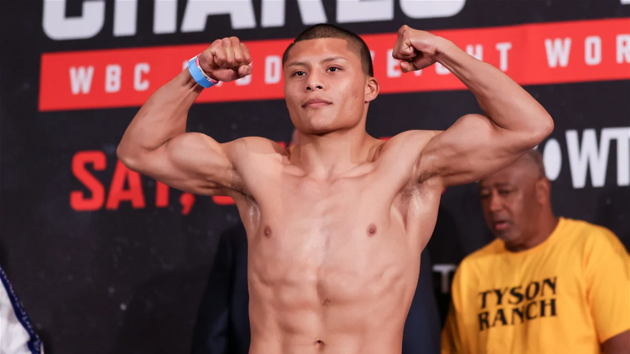 Pitbull Cruz