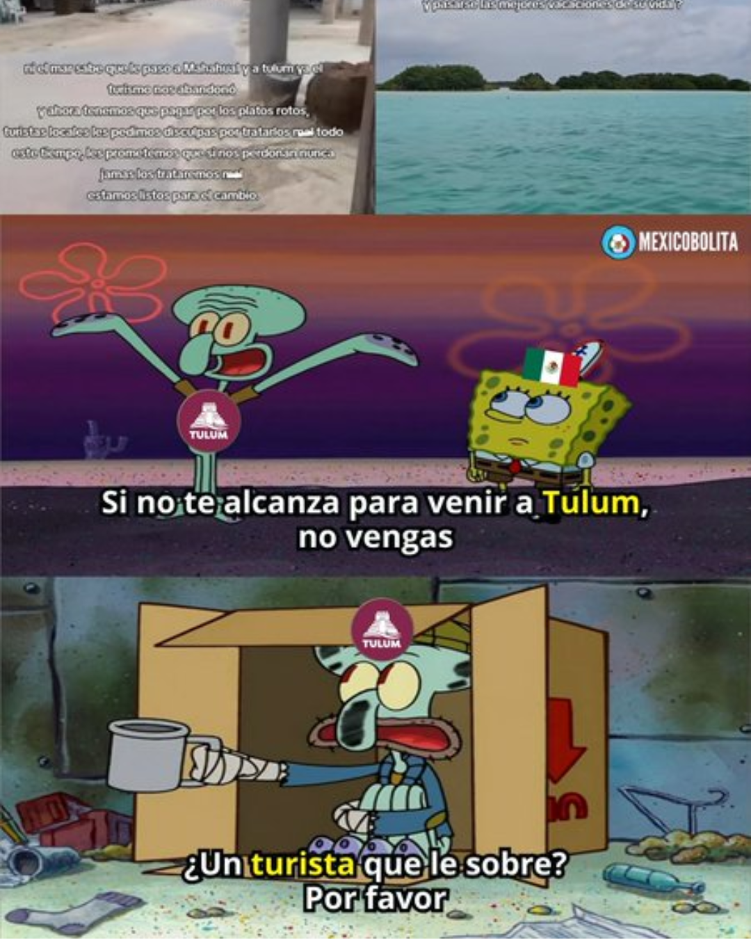 Tulum GO Go