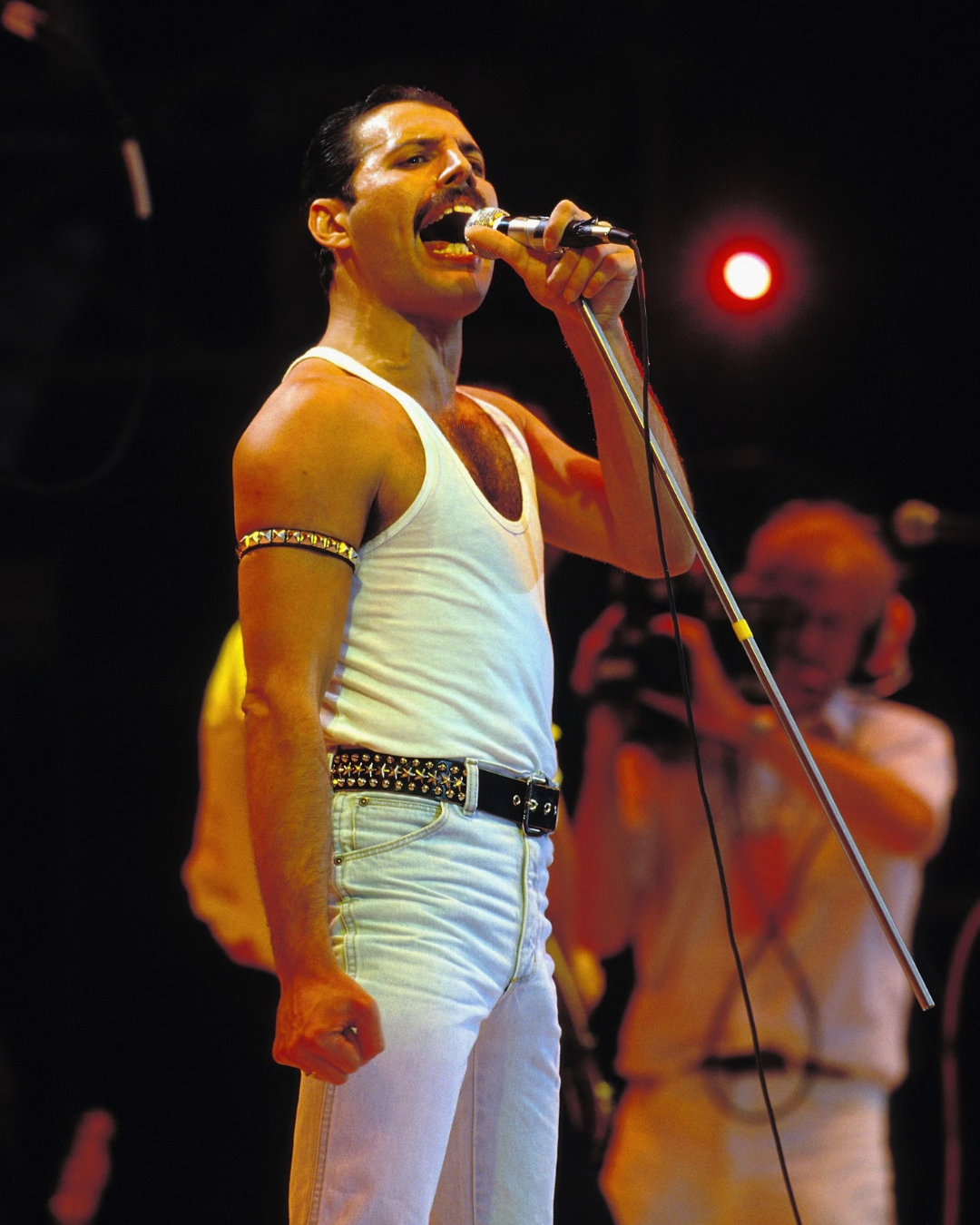 Freddie Mercury 2