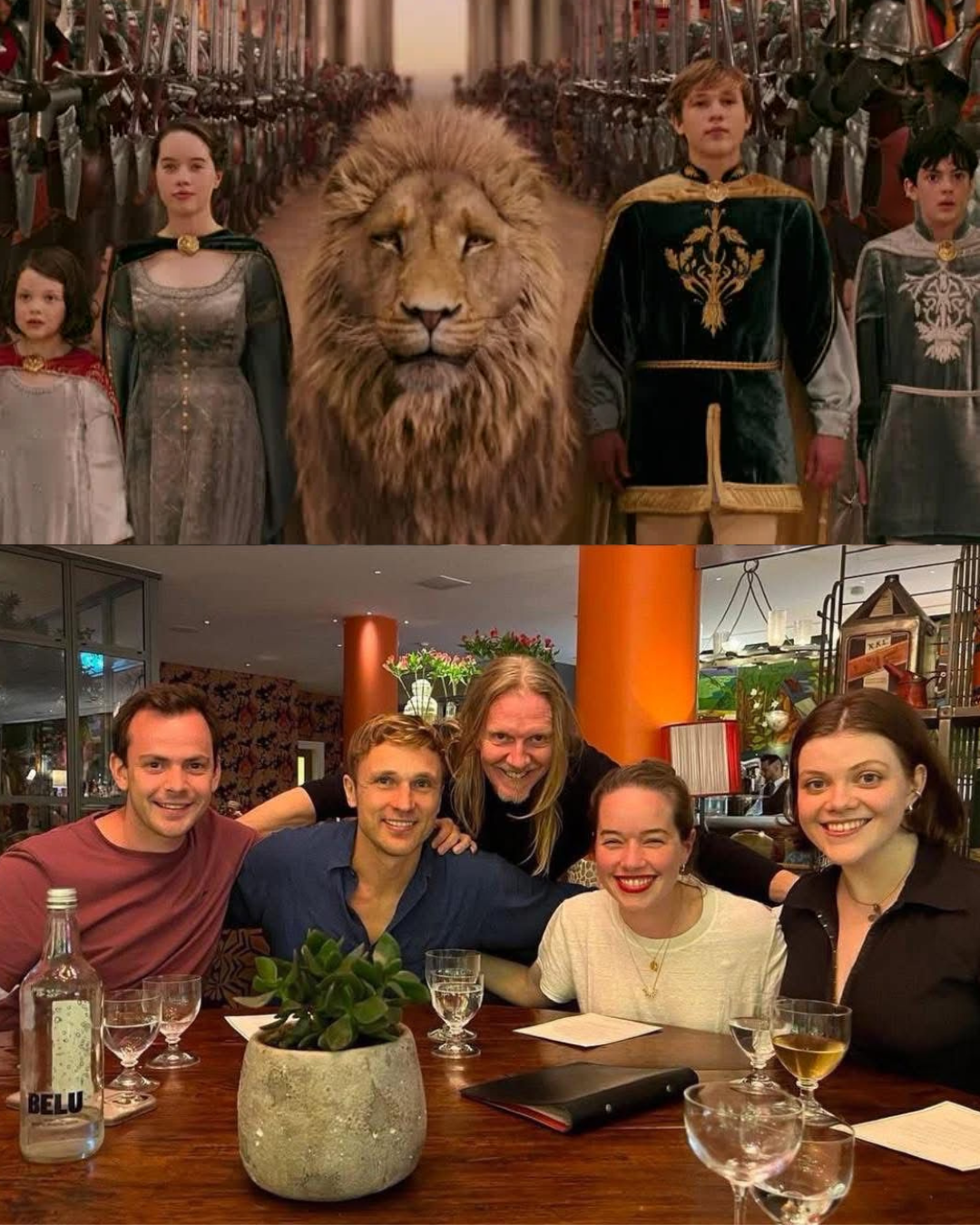 Reencuentro Narnia 4